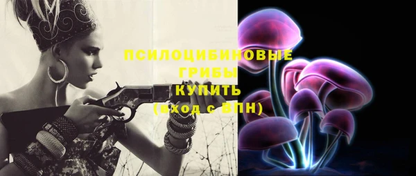 метадон Коряжма