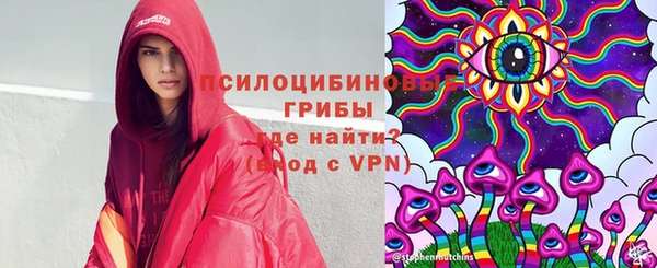 метадон Коряжма