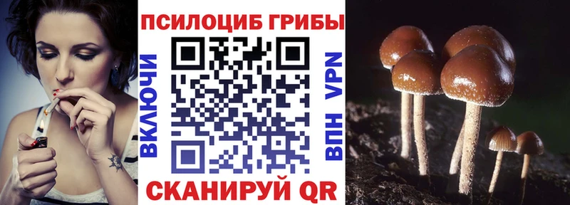 Псилоцибиновые грибы Cubensis  как найти   Нижний Тагил 