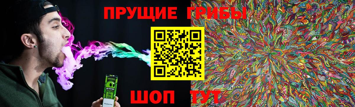 Нижний Тагил  Галлюциногенные грибы Magic Shrooms  цены   Вход с VPN 