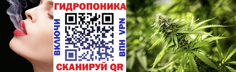 Марихуана ГИДРОПОН  Нижний Тагил 